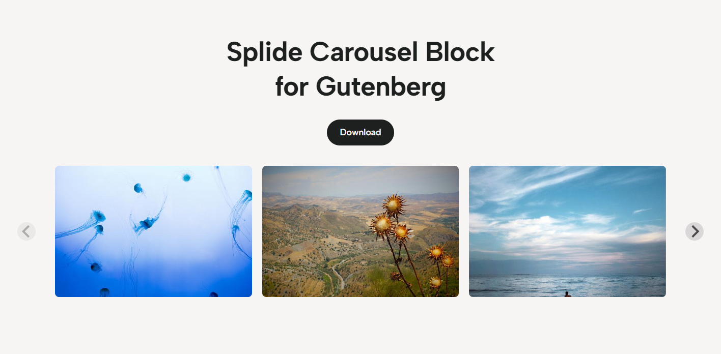Splide Carousel Block frontend example showing a multi-slide image carousel built with the block editor