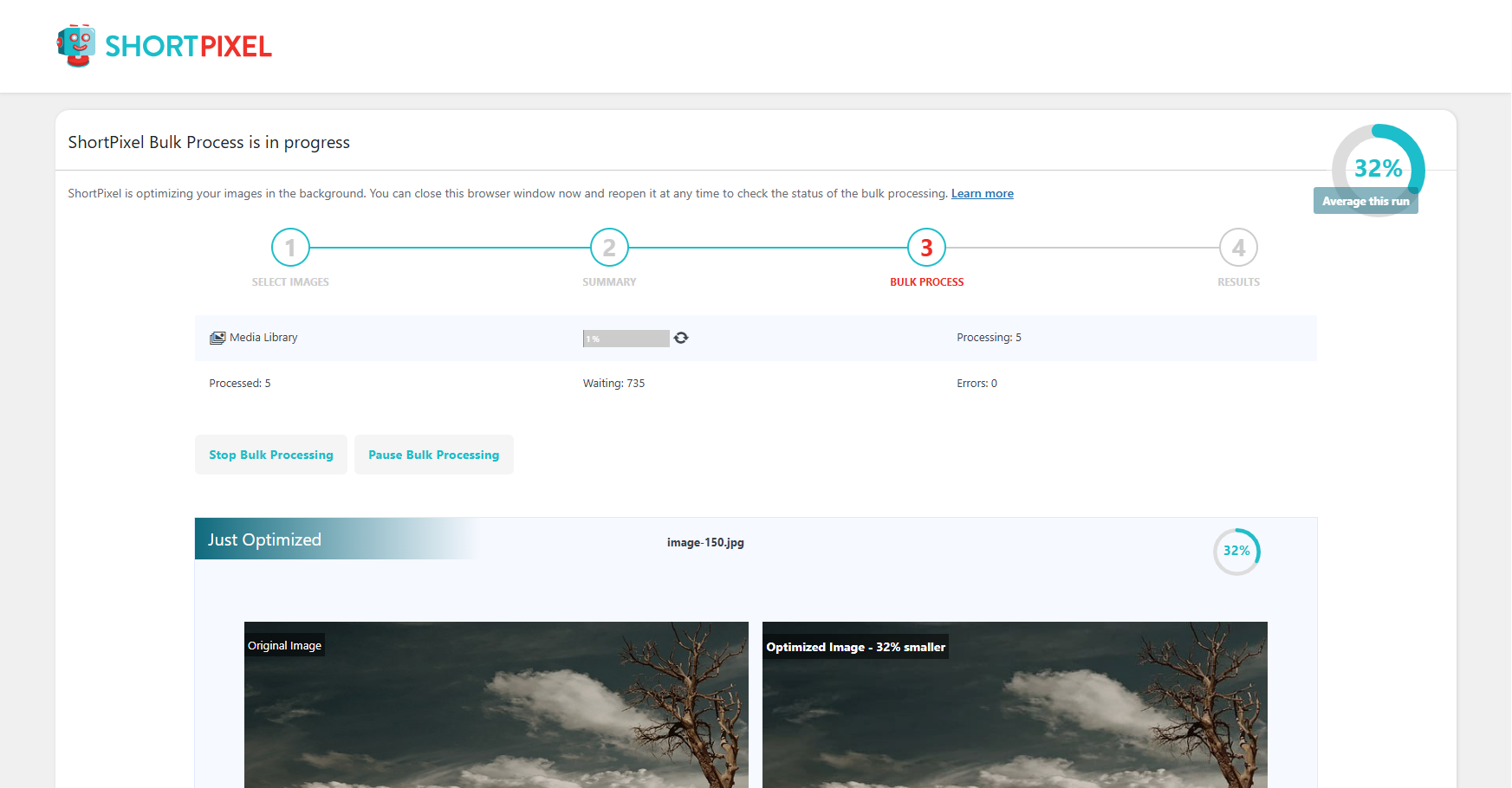 ShortPixel Bulk ShortPixel screen showing a running optimization queue and progress details