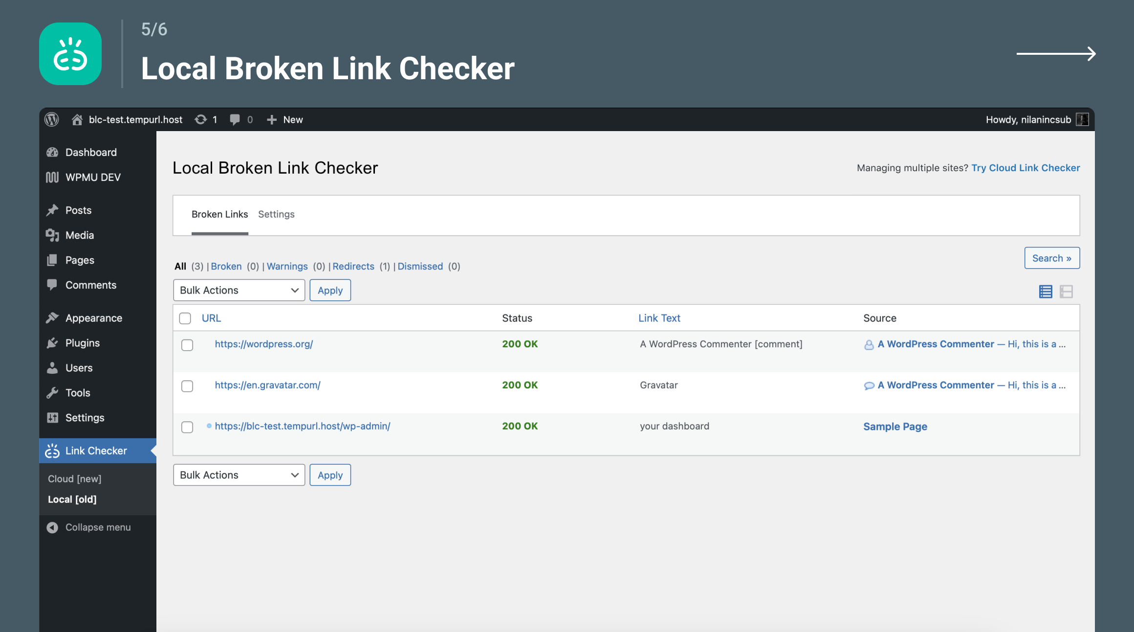 Broken Link Checker local engine interface showing broken links table with URL, status code, link text, and source post columns