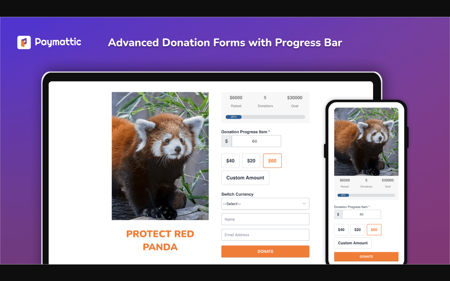 Advanced Paymattic donation form showing currency switcher, donation progress bar, and preset and custom donation amounts