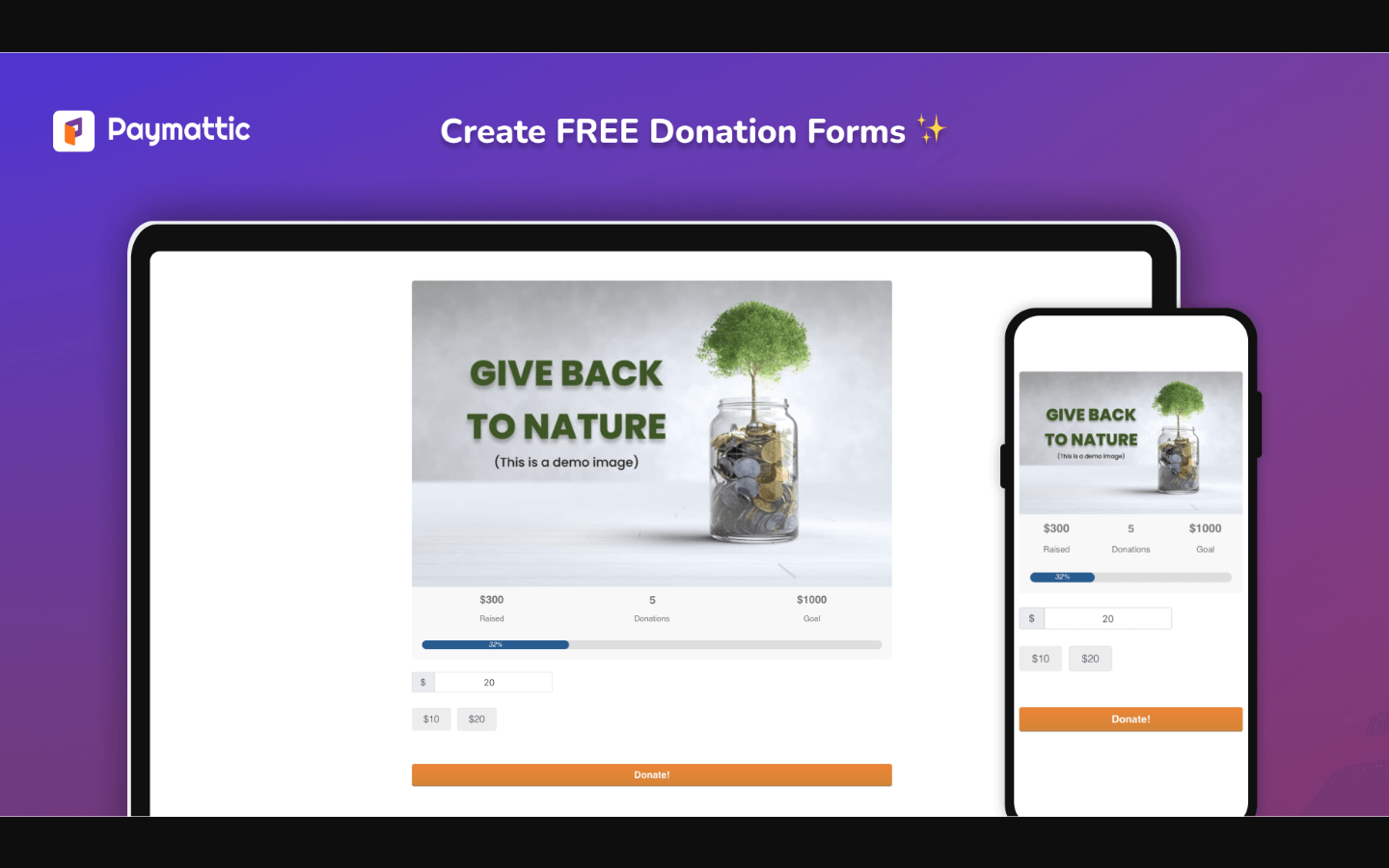 Paymattic donation form with a donation progress bar showing goal amount, current total raised, and percentage complete