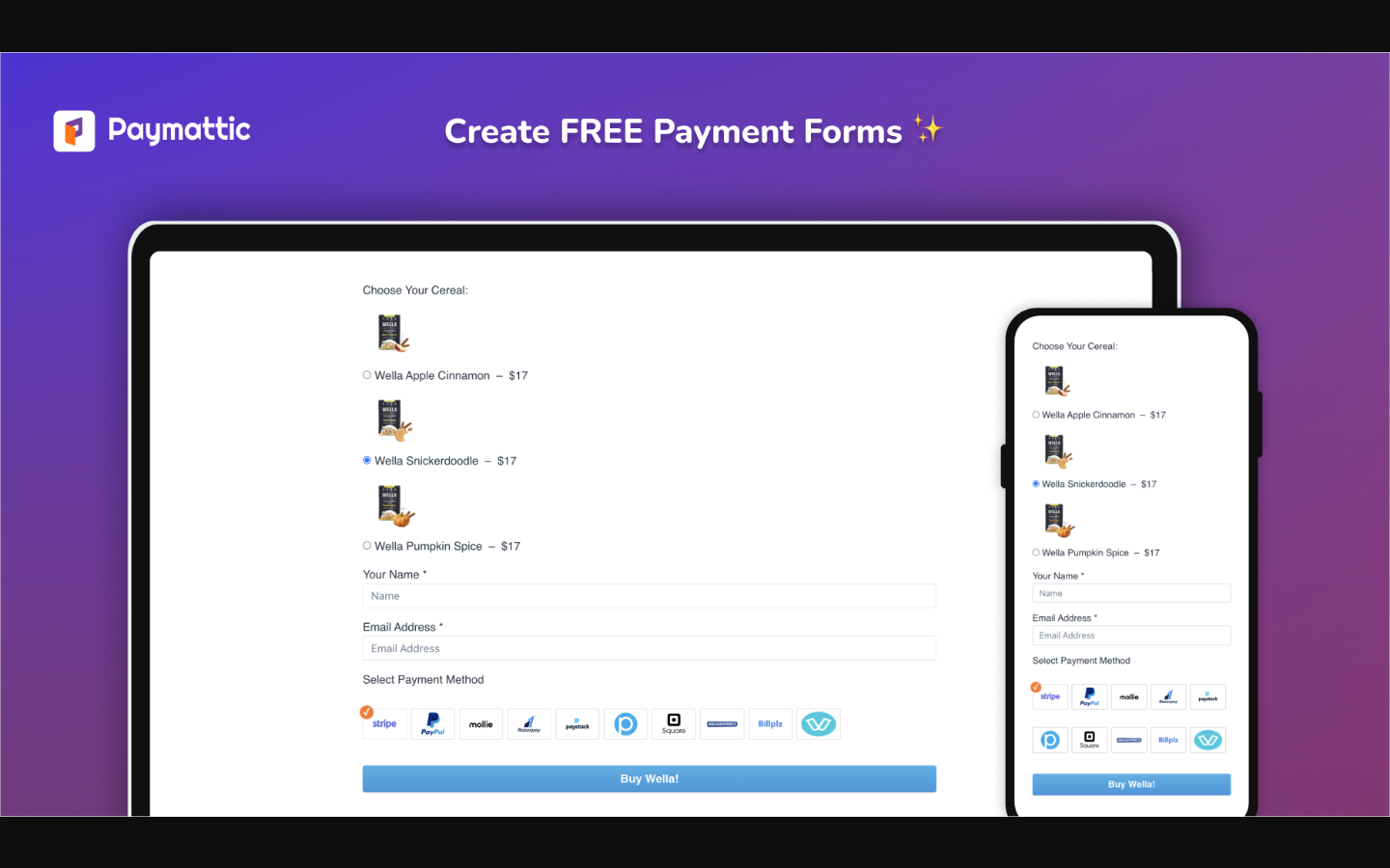 Paymattic payment form frontend showing a donation and payment collection form with amount fields and submit button
