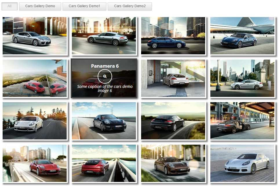 Robo Gallery hover and menu settings panel