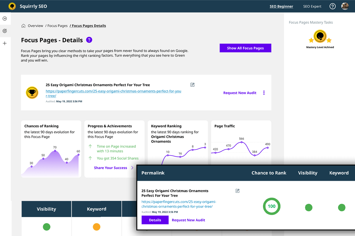 Squirrly SEO Focus Pages Details screen showing ranking charts, chances-of-ranking evolution, keyword ranking timeline, and page traffic data for a designated priority page.