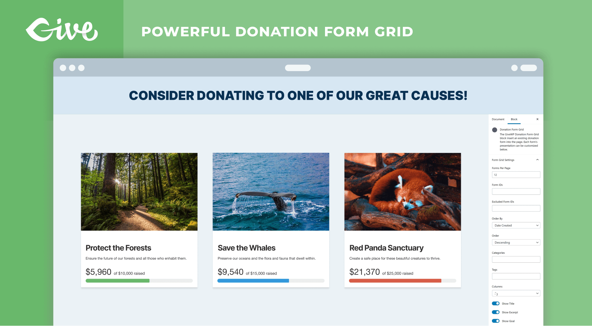 GiveWP donation form settings screen in WordPress admin showing campaign goal, donation levels, and donor details configuration