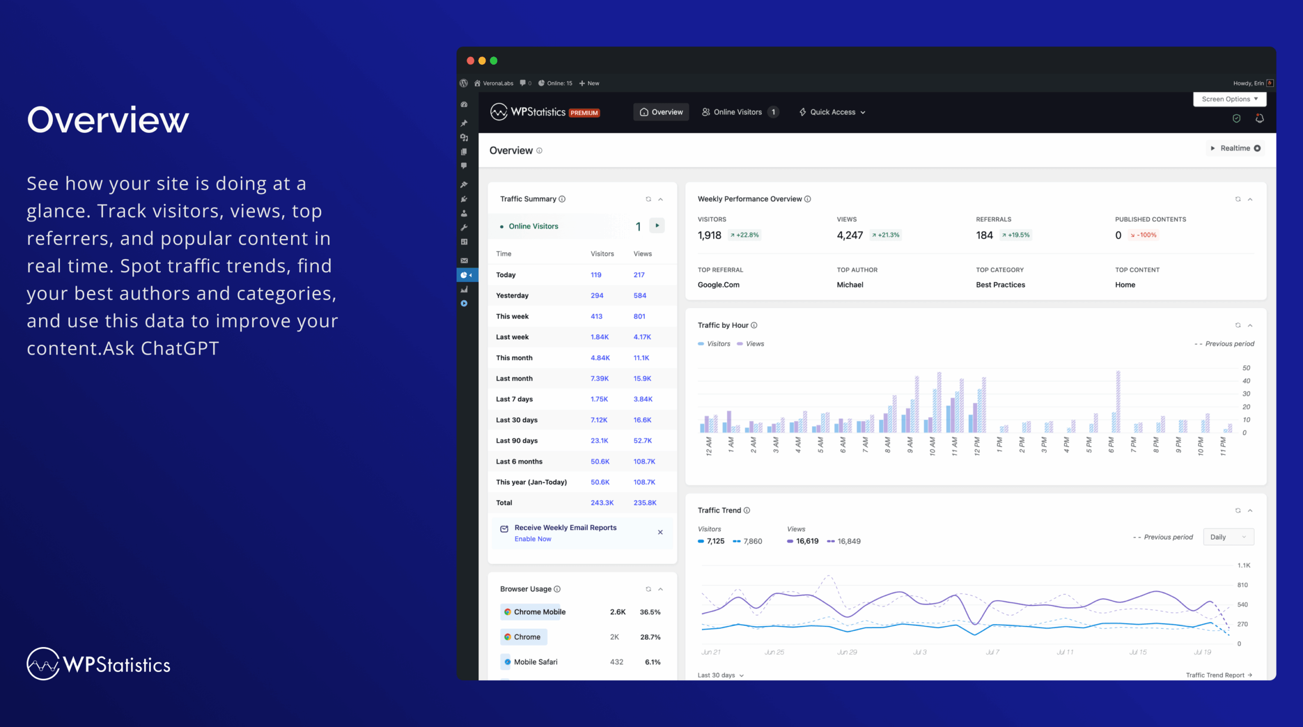 WP Statistics analytics overview dashboard inside WordPress admin showing visitor trends, top pages, and geographic breakdown